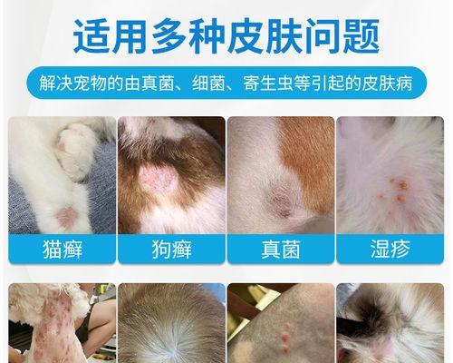 猫咪身上螨虫用什么药？有效治疗方法有哪些？