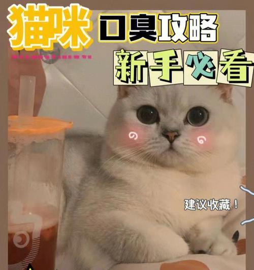 猫咪生吃牛肉有什么用？对健康有哪些好处？