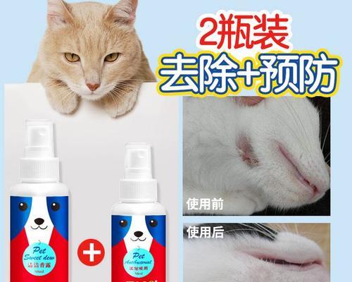 猫咪湿疹治疗费用是多少？有效治疗方法有哪些？