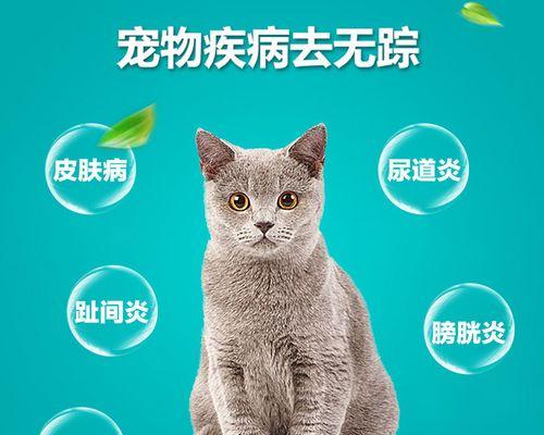 猫咪术后消炎药哪个好？如何选择合适的药物？