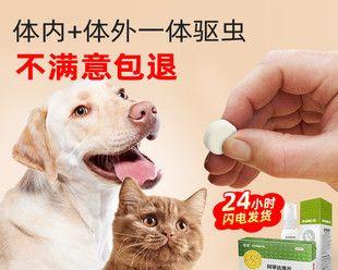 猫咪体内除虫用什么药？如何选择合适的驱虫药物？