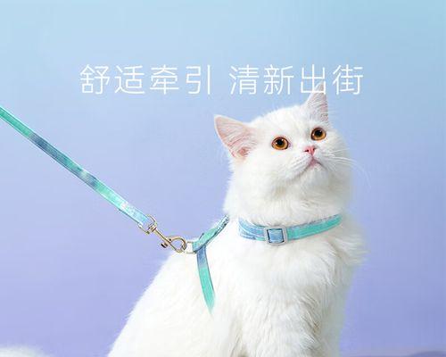 猫咪体重和年龄对照表？如何根据体重判断猫咪的年龄？