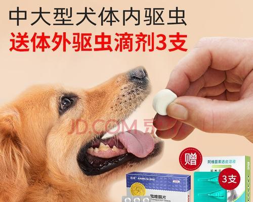 猫咪呕吐是否与驱虫有关？如何正确进行宠物驱虫？