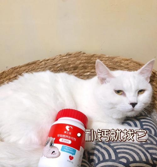 猫咪为什么会得肾结石？如何预防和治疗？