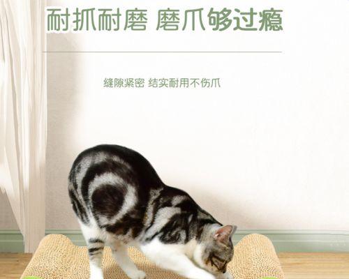 猫咪对瓦楞纸的偏爱是什么原因？如何利用瓦楞纸为猫咪创造更好的生活？