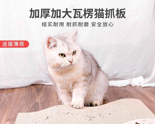 猫咪对瓦楞纸的偏爱是什么原因？如何利用瓦楞纸为猫咪创造更好的生活？