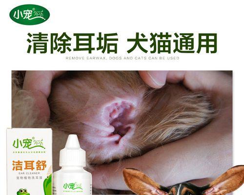 猫咪尾巴断了用什么药？如何处理宠物的尾巴伤害？