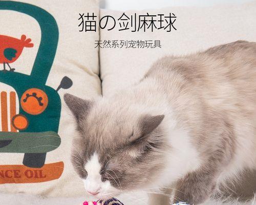 猫咪误食细毛线怎么办？如何安全处理？