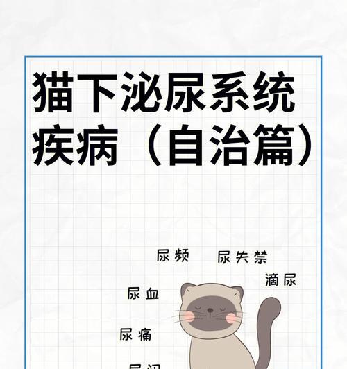 猫咪下泌尿道发病机理是什么？如何预防和治疗？