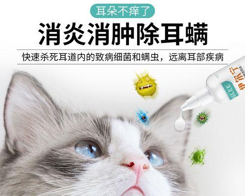 猫咪眼睛清洗液怎么用？正确的使用步骤和注意事项是什么？