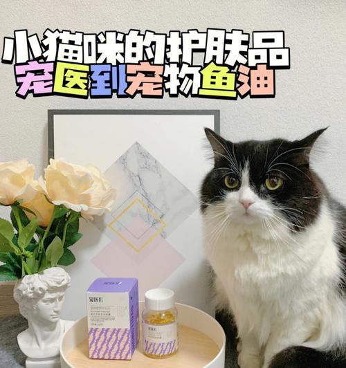 猫咪又吐又拉怎么办？应该吃什么药进行治疗？