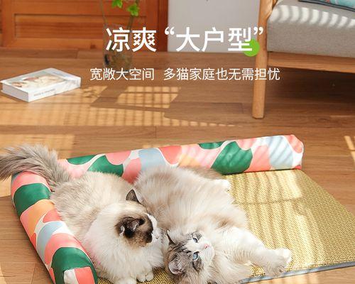 猫咪怎样安全度过夏天？夏季防暑降温的正确方法是什么？