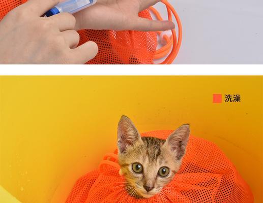 猫咪专用洗猫袋怎么用？正确使用方法和注意事项是什么？