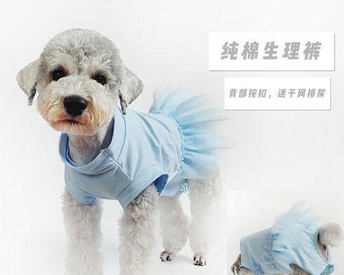 母犬生小狗后多久可以洗澡？洗澡的正确步骤是什么？