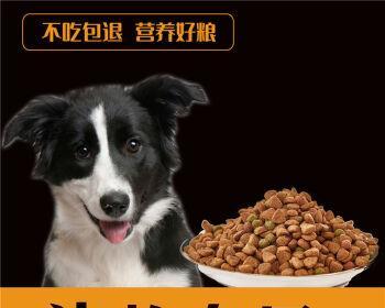 牧羊犬产后应该喂什么狗粮？如何选择合适的狗粮？