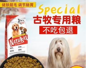 牧羊犬产后应该喂什么狗粮？如何选择合适的狗粮？