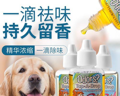 哪种狗狗除味剂效果好？如何选择最有效的宠物清洁产品？