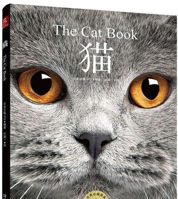 男猫咪有那些名字大全？如何为你的雄性猫咪选择一个独特的名字？