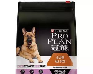 犬舍狗粮套餐选择有哪些常见问题？