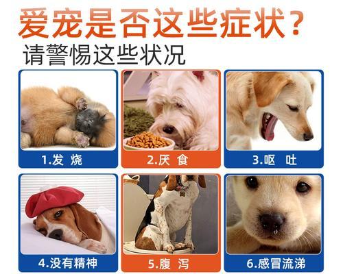 犬瘟热导致狗狗睡觉抽搐？如何应对和处理？