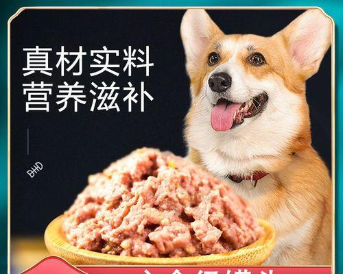 犬用湿粮怎么给狗狗吃？正确喂食方法和注意事项是什么？