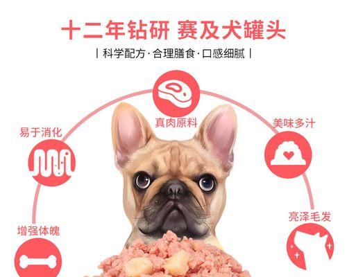 犬用湿粮怎么给狗狗吃？正确喂食方法和注意事项是什么？