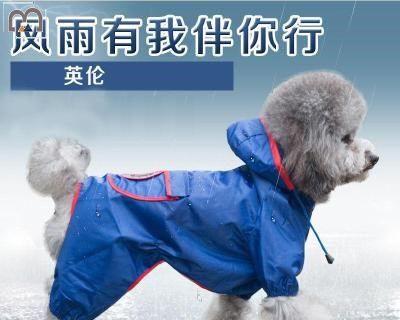 泰迪狗狗的衣服怎么做？需要哪些材料和工具？