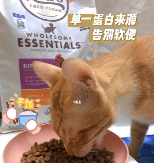 挑嘴幼猫适合的猫粮有哪些？如何选择最佳猫粮？