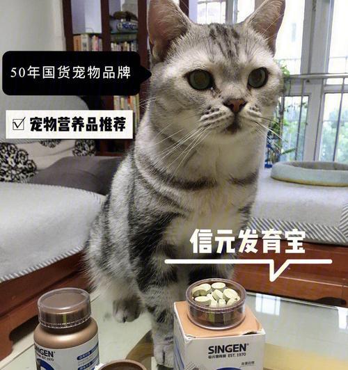 微量元素粉给猫喂多少合适？如何正确计量？