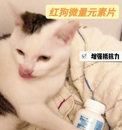 微量元素粉给猫喂多少合适？如何正确计量？