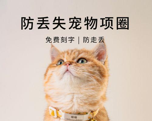 猫为什么喜欢咬人脖子？了解猫咪行为背后的原因是什么？