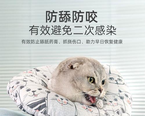 猫为什么喜欢咬人脖子？了解猫咪行为背后的原因是什么？