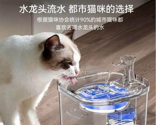 小猫不喝水怎么办？常见原因与解决方法是什么？