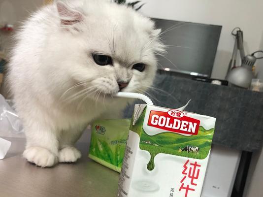 小猫为什么只能喝羊奶？羊奶对小猫有哪些好处？