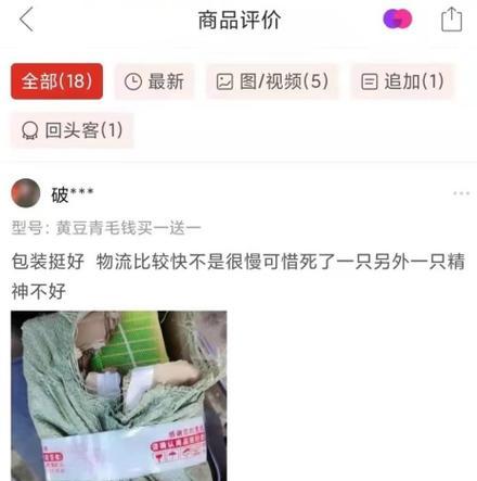 给小猫割蛋蛋的原因是什么？手术后需要注意什么？