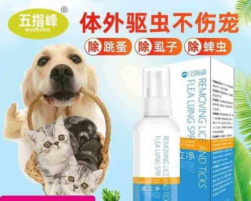 未满月的猫咪需要用药时应该注意什么？