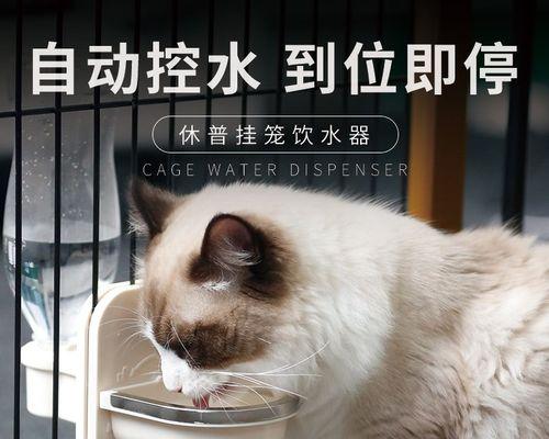 五个月小猫咬人是正常行为吗？如何纠正？