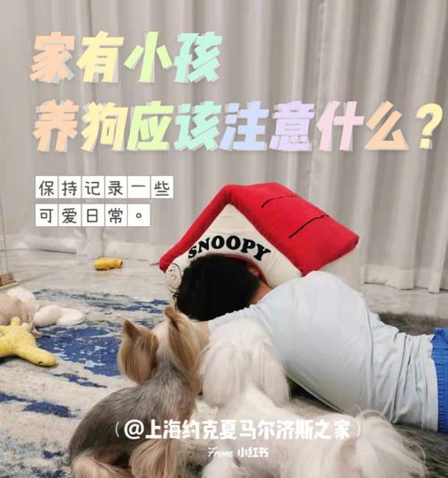 现在买狗需要注意什么？购买宠物狗的五大常见问题解答