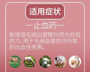 小狗肠胃出血怎么调理？有哪些有效的方法？