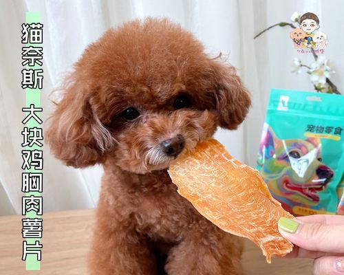 小狗误食凉猪肉后怎么办？正确处理方法是什么？