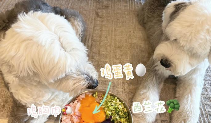 古牧幼犬的食量标准是什么？如何根据体重调整？