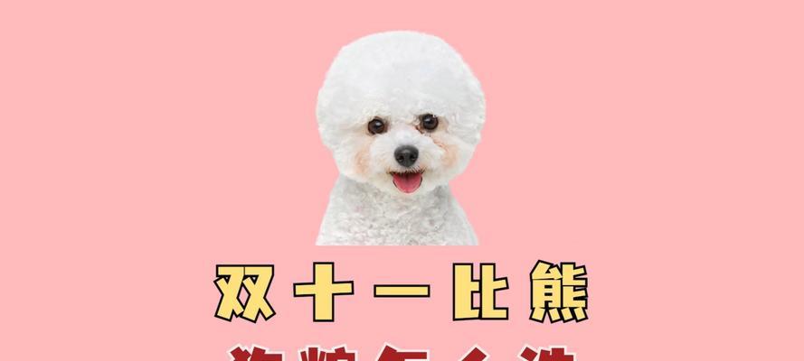 比熊幼犬换狗粮不怎么吃怎么办？有哪些解决方法？