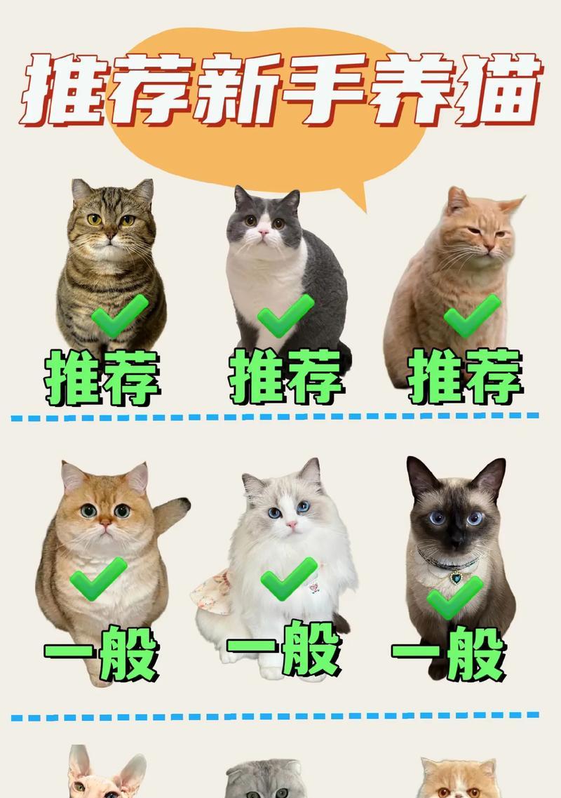 猫家禽还是家畜好养一点呢？哪种更适合家庭环境？