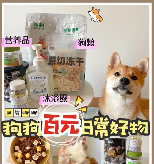 柴犬幼犬喂食量如何控制？一次喂多少合适？