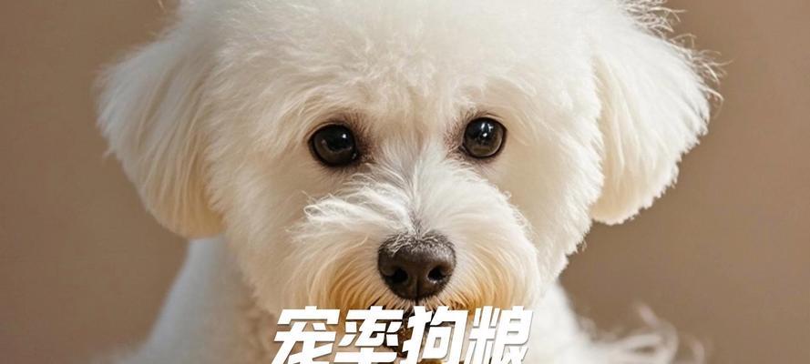 比熊犬吃硬狗粮好还是泡鸡粮好？如何选择适合比熊犬的狗粮？