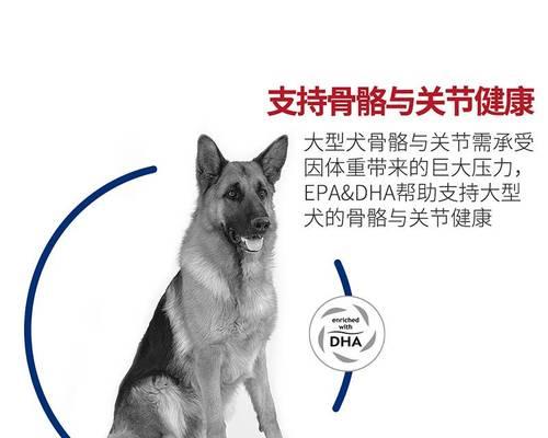 皇家大型犬狗粮的标准摄入量是多少？如何根据体重调整？