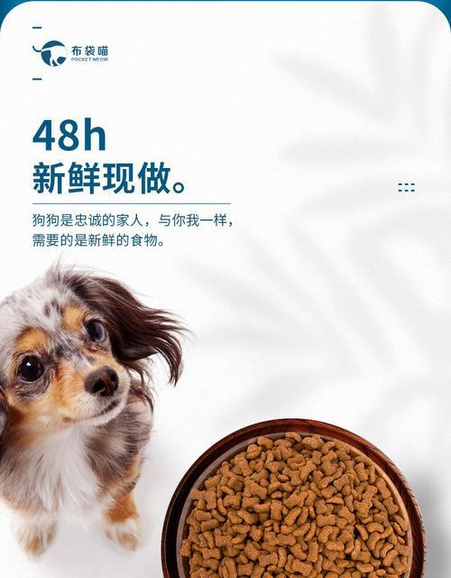 小型犬吃五斤狗粮会死亡吗？正确喂食量是多少？