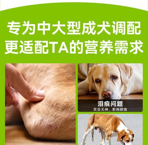 成年中型犬消化不良时应选择哪种狗粮？如何选择易消化的狗粮？