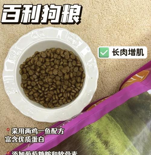 比熊长期食用同一款狗粮的利弊是什么？