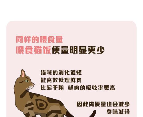 猫咪鲜肉粮是如何制作的？自制鲜肉粮的注意事项有哪些？